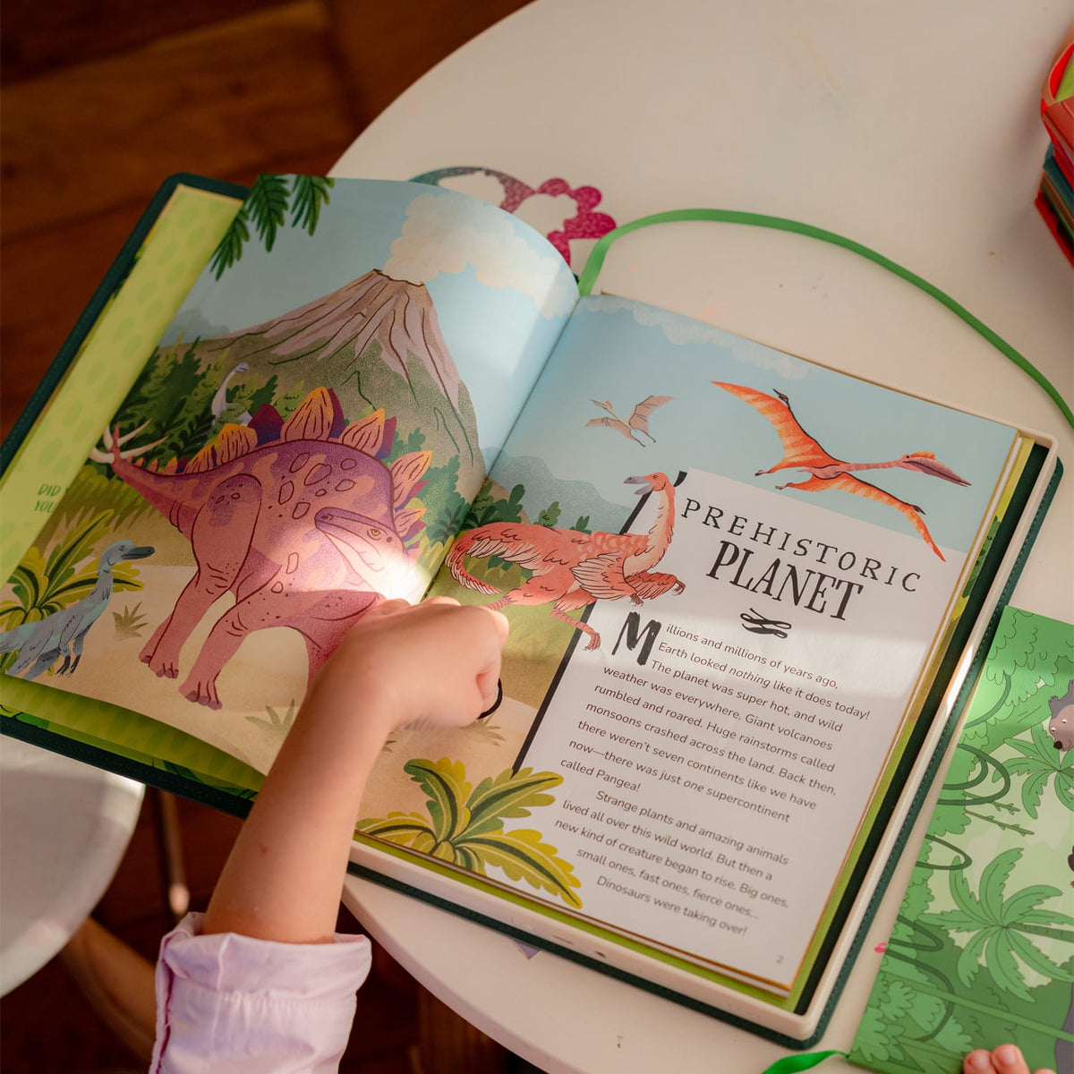 Cali's Books Recordable Booklets Dinosaurs - Cali Reader story