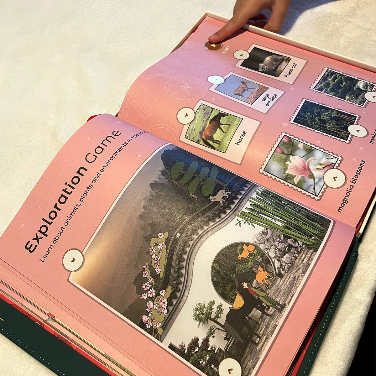 Cali's Books Recordable Booklets Mulan - Cali Reader story