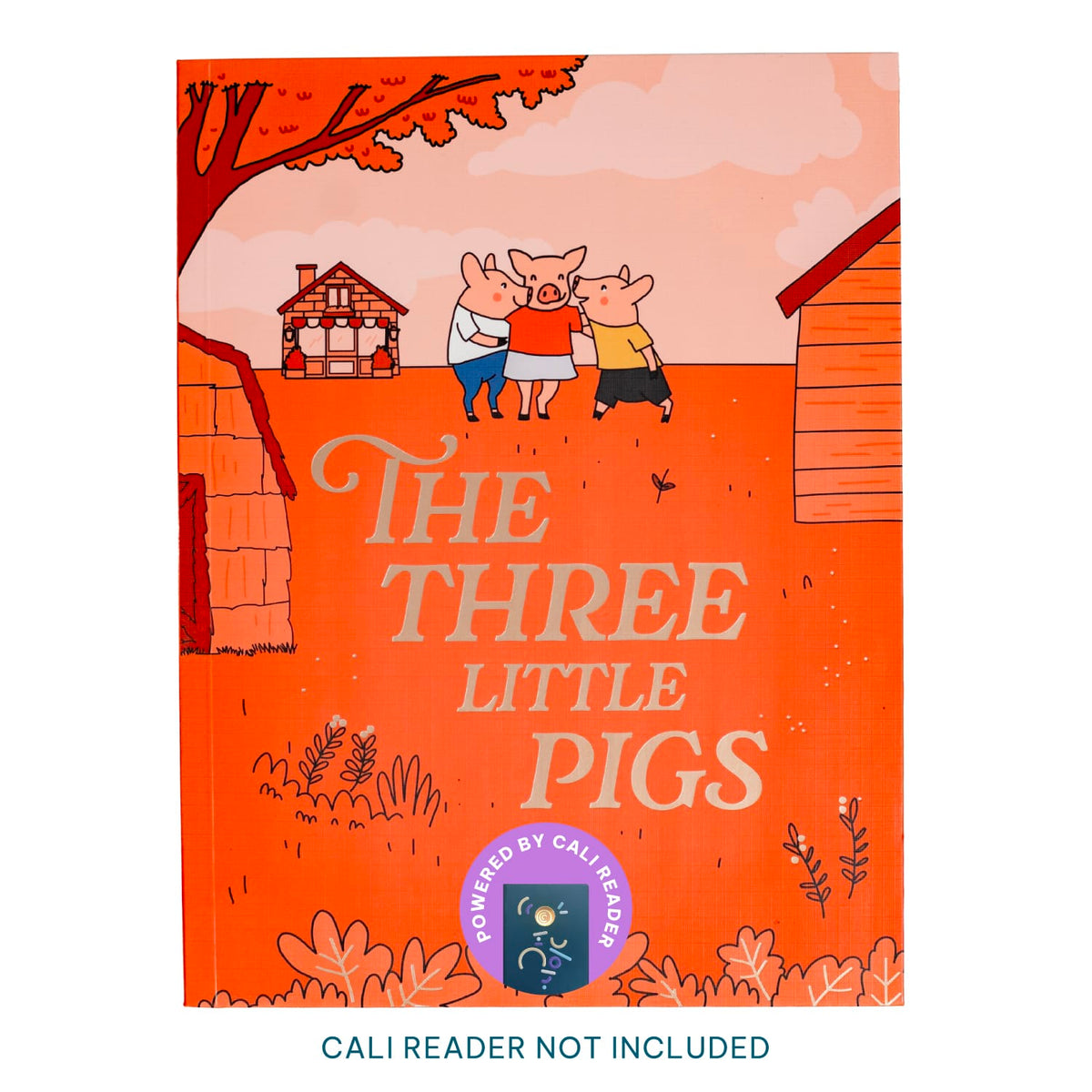 Cali's Books Recordable Booklets The Three Little Pigs - Cali Reader story